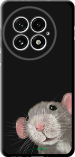 TPU чехол The Peeking Rat для OnePlus 13 5G - 6442b-3875 изображение 