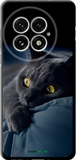 TPU чехол Димчастий кіт для OnePlus 13 5G - 825b-3875 изображение 