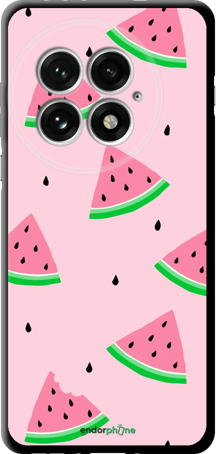 TPU чехол Рожевий кавун для OnePlus 13 5G - 4314b-3875 изображение 