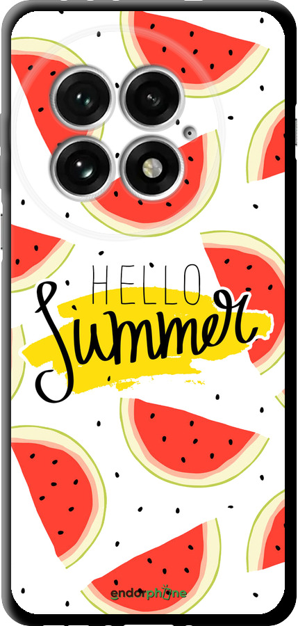 TPU чехол Hello Summer для OnePlus 13 5G - 4356b-3875 изображение 