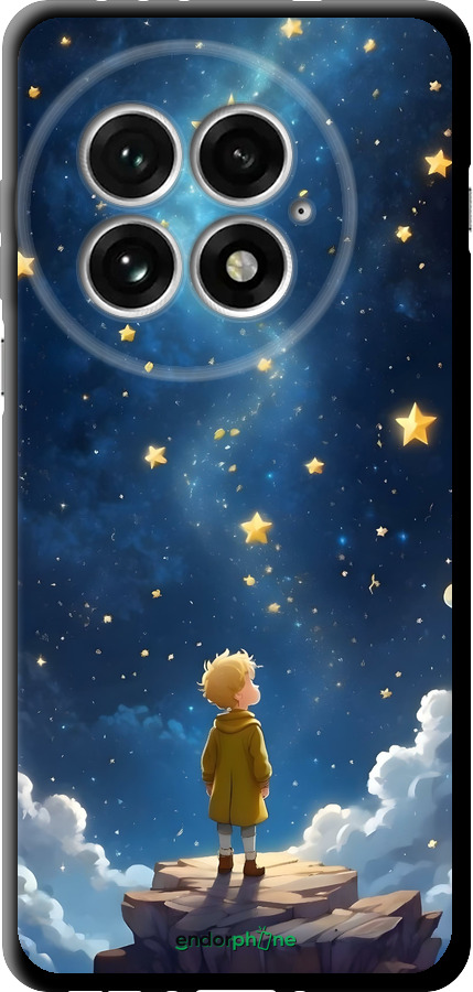 TPU чехол Маленький принц для OnePlus 13 5G - 6326b-3875 изображение 