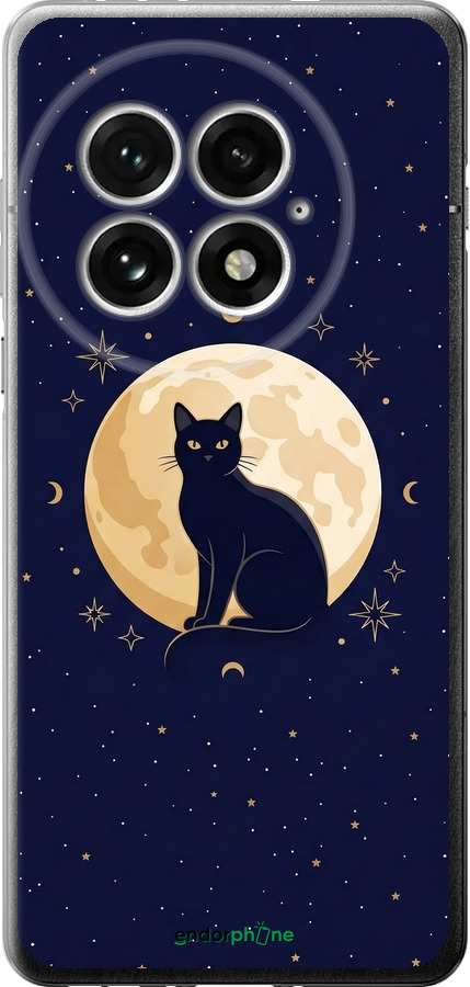 Силиконовый чехол Cute Cat Celestial/Witchy для OnePlus 13 5G - 6787u-3875 изображение 