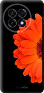 TPU чехол Гербера 1 для OnePlus 13R 5G - 4534b-3922 изображение 