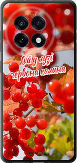 TPU чехол Калина для OnePlus 13R 5G - 5454b-3922 изображение 