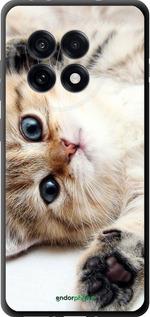 TPU чехол Котик для OnePlus Ace 5 Pro - 6024b-3934 изображение 