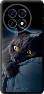TPU чехол 'Дымчатый кот' для OnePlus 13R 5G изображение 2