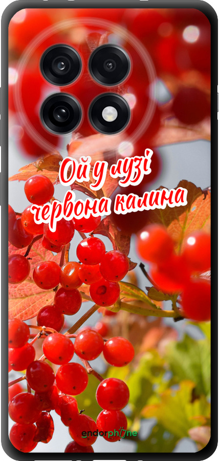 TPU чехол Калина для OnePlus 13R 5G - 5454b-3922 изображение 