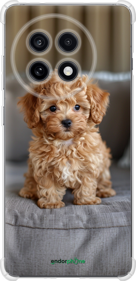 Силикон с усиленными углами чехол Mini-maltipoo для OnePlus Ace 5 - 6158sp-4087 изображение 