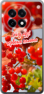 Силиконовый чехол Калина для OnePlus Ace 5 Pro - 5454u-3934 изображение 