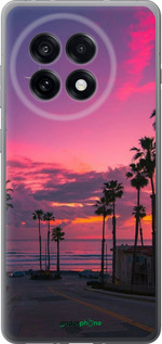 Силиконовый чехол Пальмы для OnePlus Ace 5 Pro - 5873u-3934 изображение 