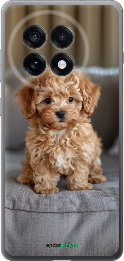 Силиконовый чехол Mini-maltipoo для OnePlus 13R 5G - 6158u-3922 изображение 