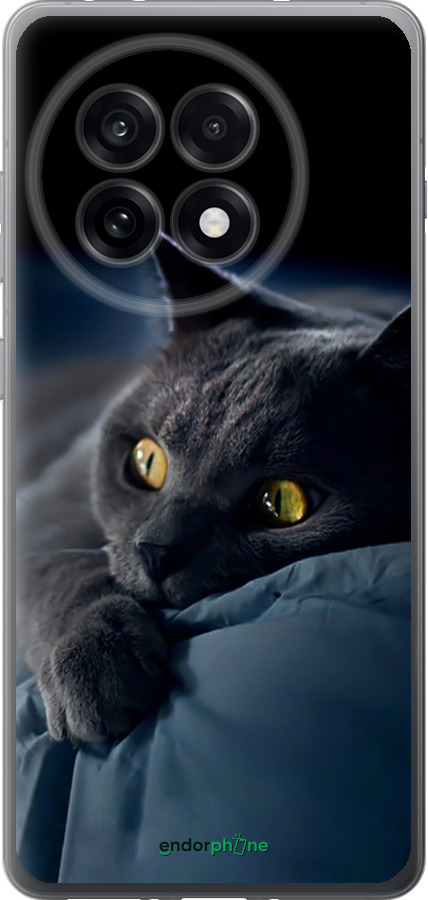 Силіконовий чехол Димчастий кіт для OnePlus Ace 5 - 825u-4087 изображение 