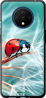 TPU чехол Божья коровка для OnePlus 7T - 6049b-1809 изображение 