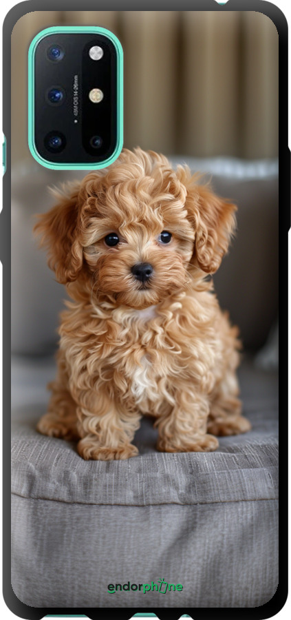 TPU чехол Mini-maltipoo для OnePlus 8T - 6158b-2113 изображение 