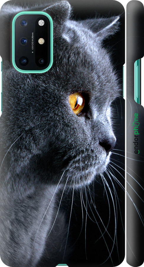 

3D пластиковий матовий чохол "Гарний кіт" для OnePlus 8T, Чорний