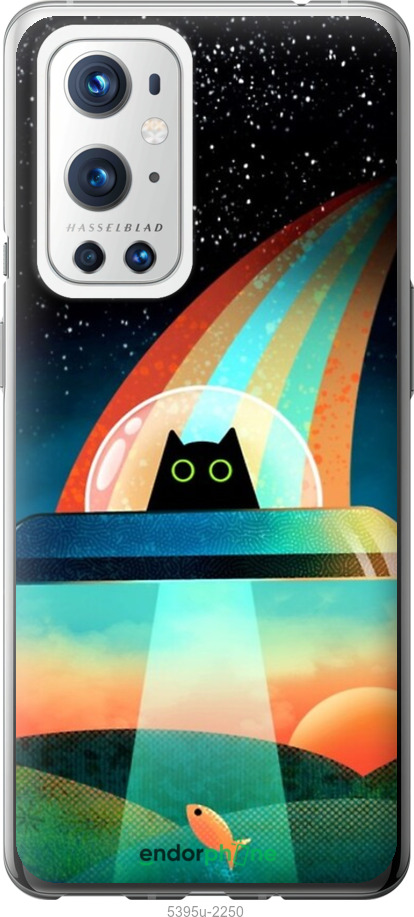 2D пластиковий чехол № 5395 для OnePlus 9 Pro - 5395t-2250 изображение 