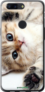 2D пластиковый чехол Котик для OnePlus 5T - 6024t-1352 изображение 