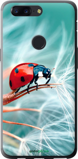 Силіконовий чехол Сонечко для OnePlus 5T - 6049u-1352 изображение 