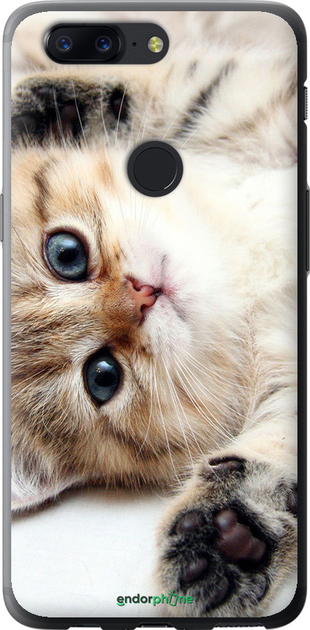 2D пластиковый чехол Котик для OnePlus 5T - 6024t-1352 изображение 