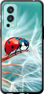 TPU чехол Божья коровка для OnePlus Nord 2 - 6049b-2468 изображение 
