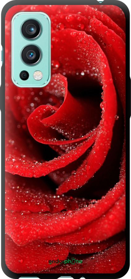 TPU чехол Красная роза для OnePlus Nord 2 - 529b-2468 изображение 