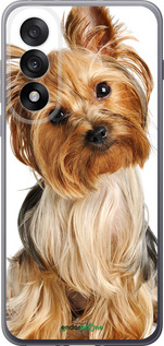 Силиконовый чехол Йоркширский терьер с хвостиком для OnePlus Nord 5 5G - 930u-4133 изображение 