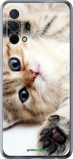 Силиконовый чехол Котик для OnePlus Nord CE 5G/CORE Edition 5G - 6024u-3484 изображение 