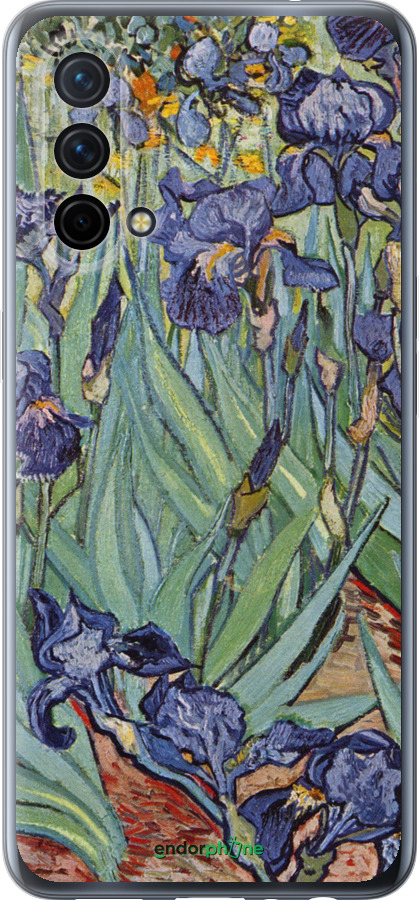 Силиконовый чехол Винсент Ван Гог. Ирисы для OnePlus Nord CE 5G/CORE Edition 5G - 161u-3484 изображение 