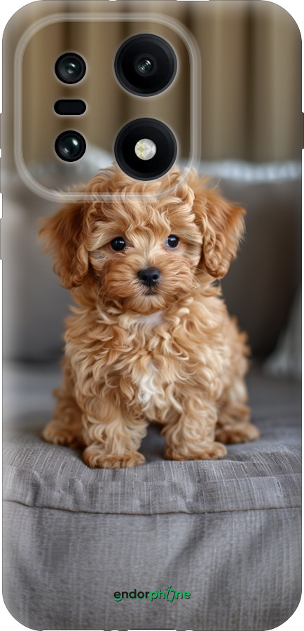 Силиконовый чехол Mini-maltipoo для OnePlus OnePlus 15 - 6158u-4186 изображение 