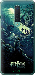 2D пластиковий чехол Гаррі Поттер 3 для OnePlus 8 - 6338t-1902 изображение 