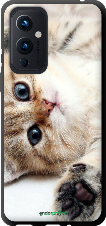 TPU чехол Котик для OnePlus 9 - 6024b-2249 изображение 