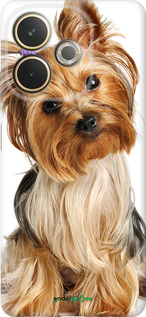 Силиконовый чехол Йоркширский терьер с хвостиком для Oppo A5 PRO - 930u-3956 изображение 