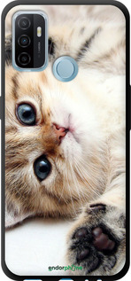 TPU чехол Котик для Oppo A53 - 6024b-568 изображение 