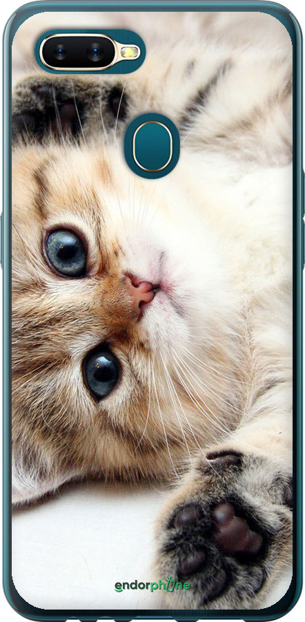 2D пластиковый чехол Котик для Oppo A5S - 6024t-1892 изображение 