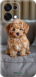 Силиконовый чехол Mini-maltipoo для Oppo F31 - 6158u-4238 изображение 