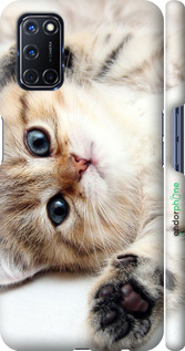 3D пластиковый матовый чехол Котик для Oppo A72 - 6024m-2011 изображение 