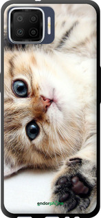 TPU чехол Котик для Oppo A73 - 6024b-1379 изображение 