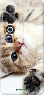 Силіконовий чехол Котик для Oppo A3 Pro 5G - 6024u-4144 изображение 