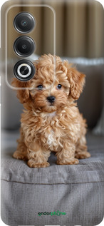 Силиконовый чехол Mini-maltipoo для Oppo A3 Pro 5G - 6158u-4144 изображение 