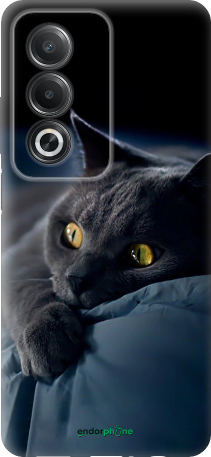 Силиконовый чехол Дымчатый кот для Oppo A80 5G - 825u-3963 изображение 