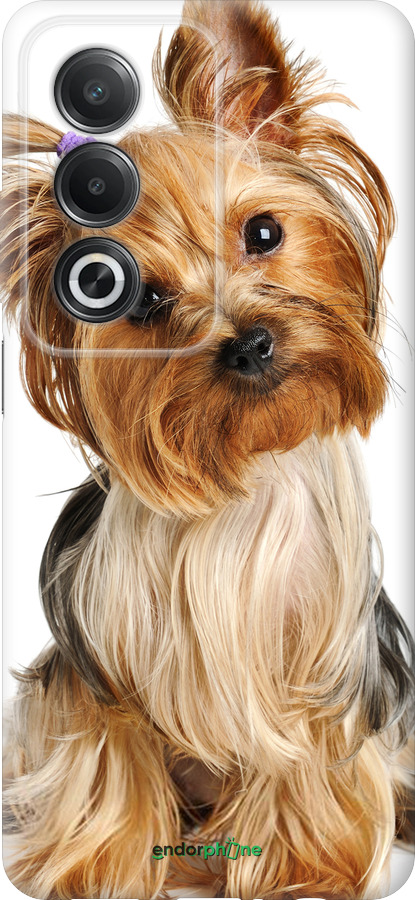 Силиконовый чехол Йоркширский терьер с хвостиком для Oppo A3 Pro 5G - 930u-4144 изображение 