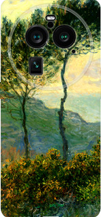 Силиконовый чехол Клод Моне для Oppo Find X6 Pro - 1193u-3041 изображение 