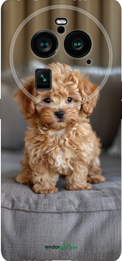 Силиконовый чехол Mini-maltipoo для Oppo Find X6 Pro - 6158u-3041 изображение 