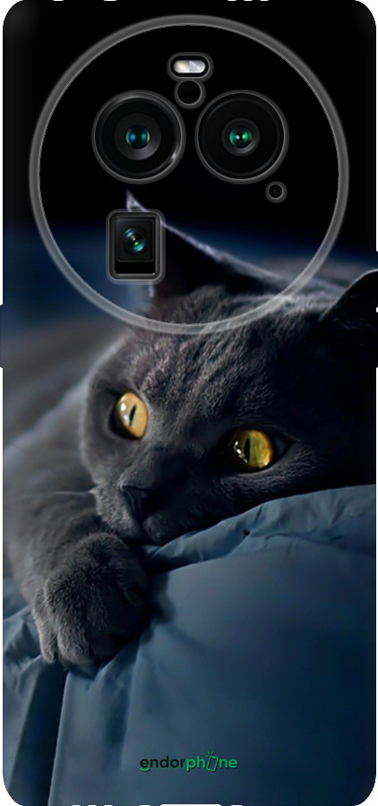 Силіконовий чехол Димчастий кіт для Oppo Find X6 Pro - 825u-3041 изображение 