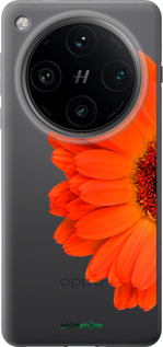 Силіконовий чехол Гербера 1 для Oppo Find X8 Pro - 4534u-3872 изображение 