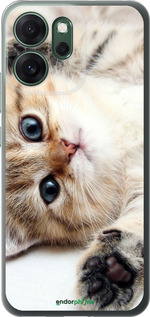 Силиконовый чехол Котик для Oppo RENO 14F 5G - 6024u-4091 изображение 