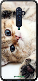 TPU чехол Котик для Oppo Reno 2 - 6024b-1864 изображение 