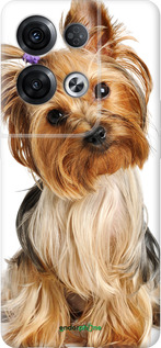 Силиконовый чехол Йоркширский терьер с хвостиком для Oppo Reno8 Pro 5G - 930u-2615 изображение 