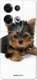 Силиконовый чехол Щенок йоркширского терьера для Oppo Reno8 Pro 5G - 931u-2615 изображение 