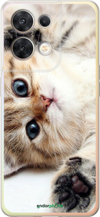 Силіконовий чехол Котик для Oppo Reno8 5G - 6024u-2614 изображение 
